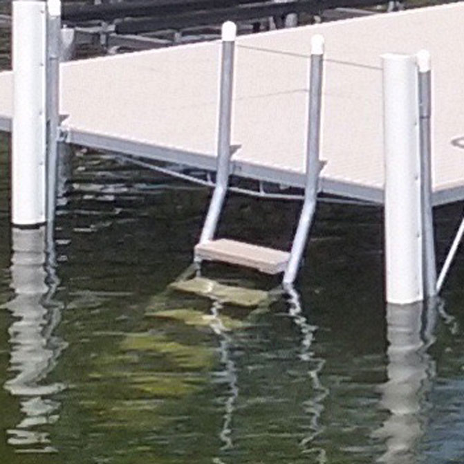 Ladder in water